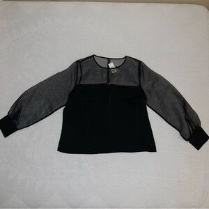 Express Black Sheer Sleeve Blouse